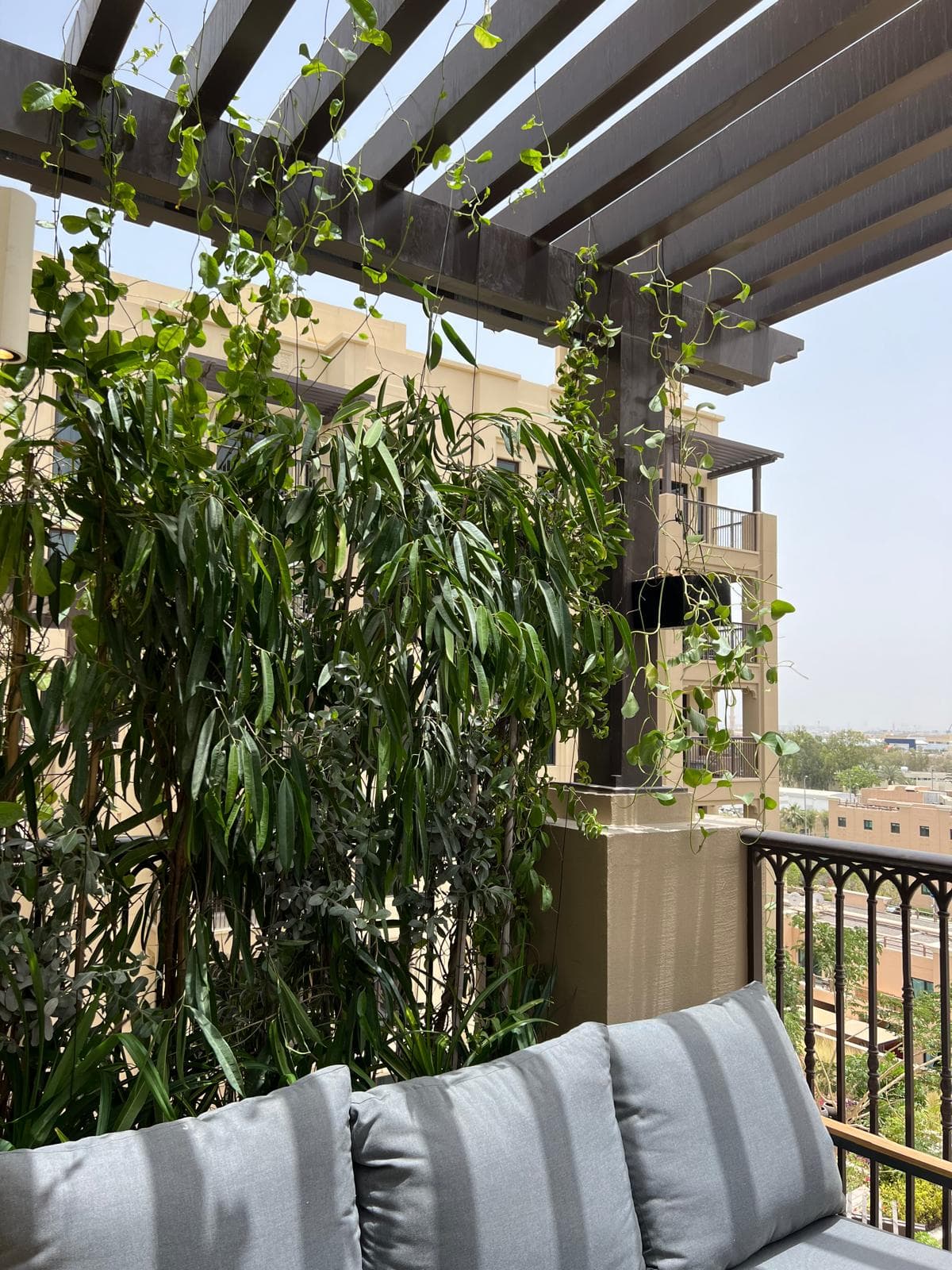 Aménagement floral de terrasse élégante sous ciel lumineux, style résidentiel prestige